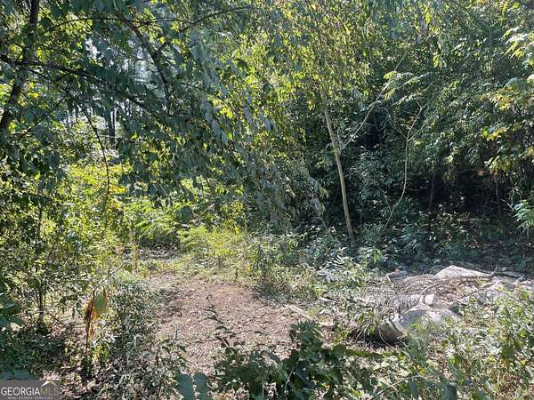 0.46 Acres of Residential Land for Sale in Palmetto, Georgia