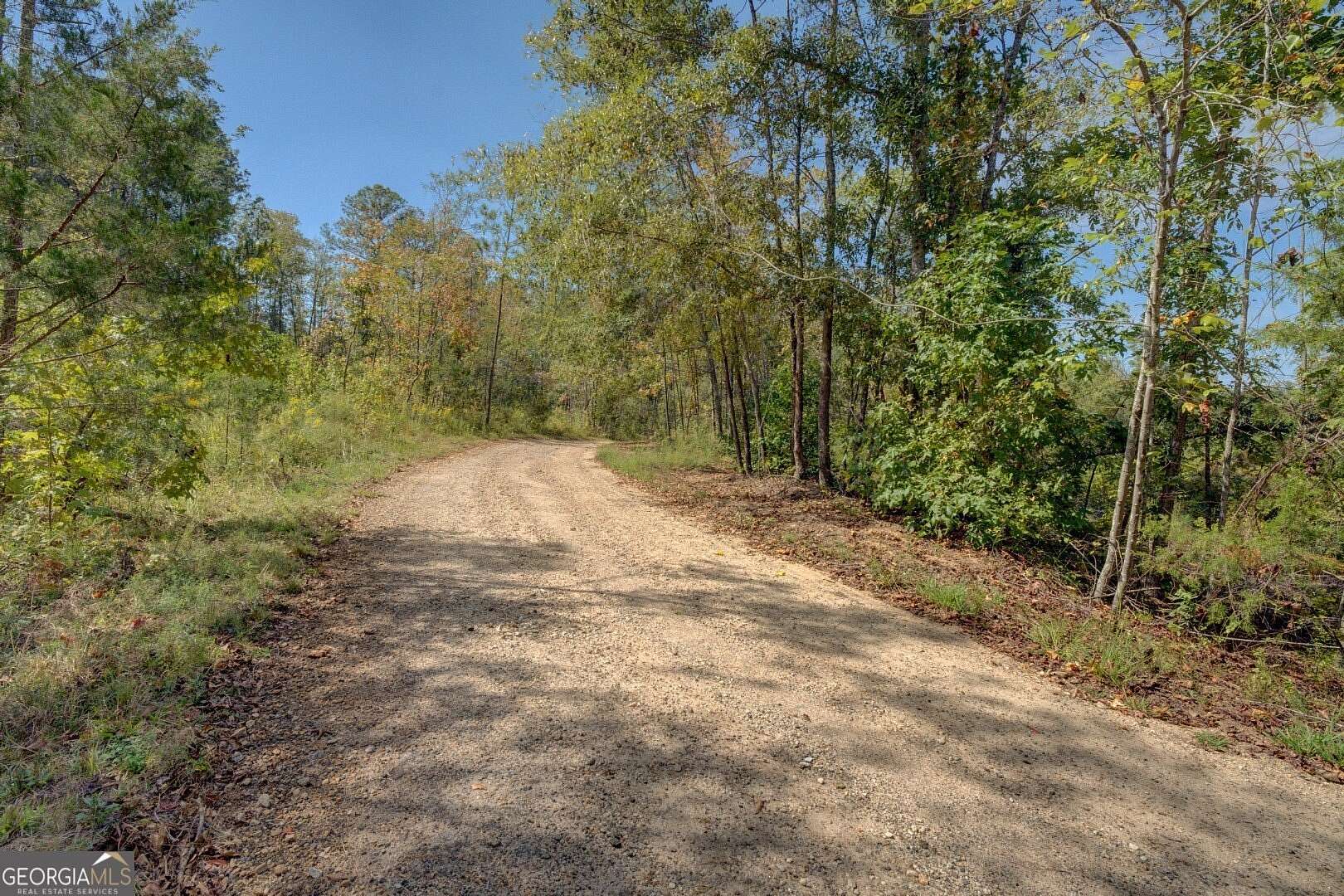 45.8 Acres of Recreational Land for Sale in Mansfield, Georgia