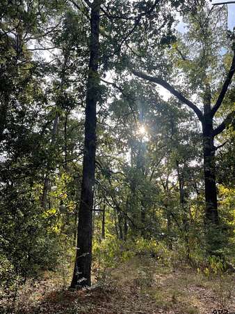 0.22 Acres of Residential Land for Sale in Holly Lake Ranch, Texas