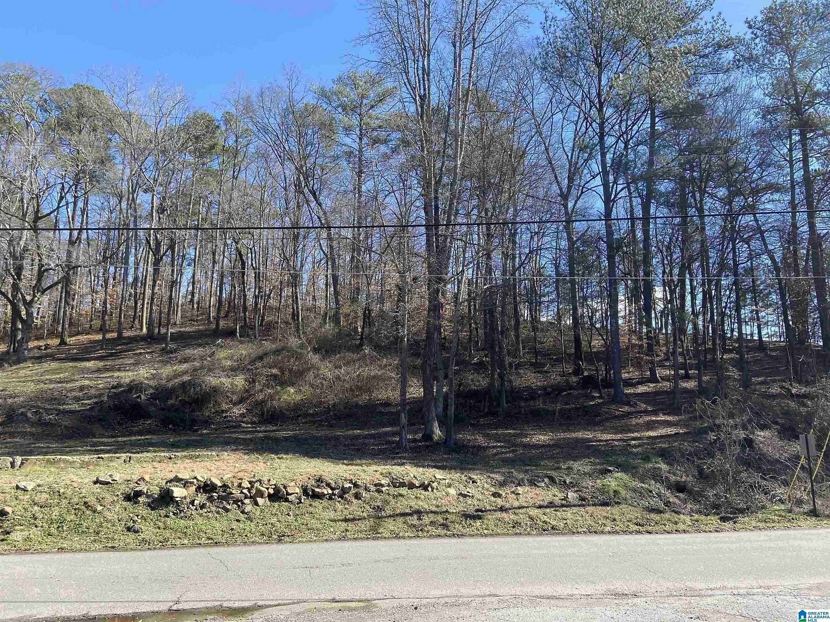 2.7 Acres of Land for Sale in Springville, Alabama