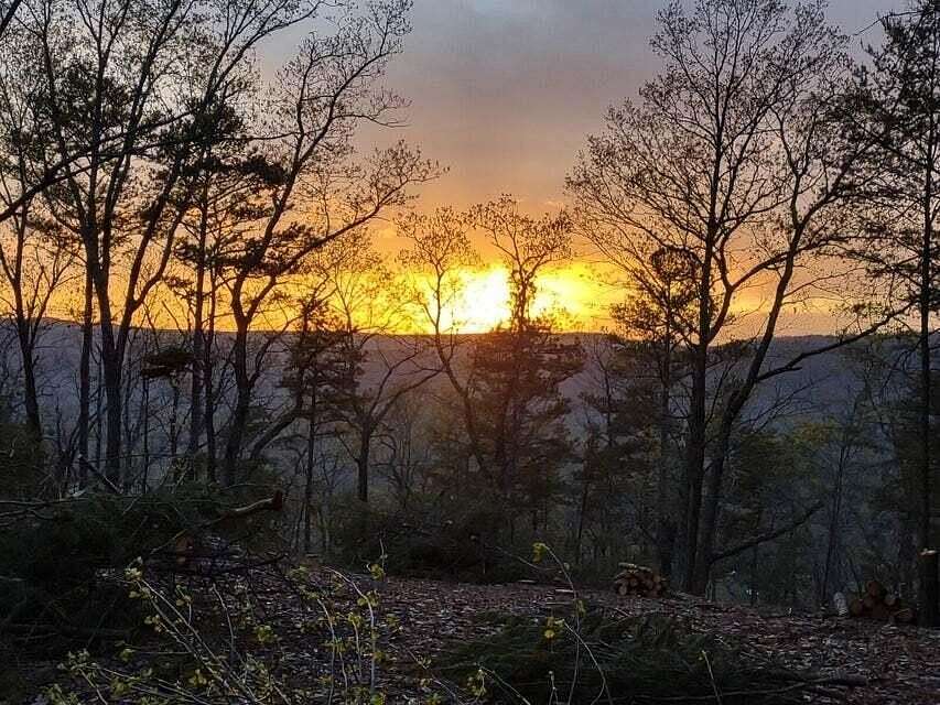 2.9 Acres of Residential Land for Sale in Menlo, Georgia