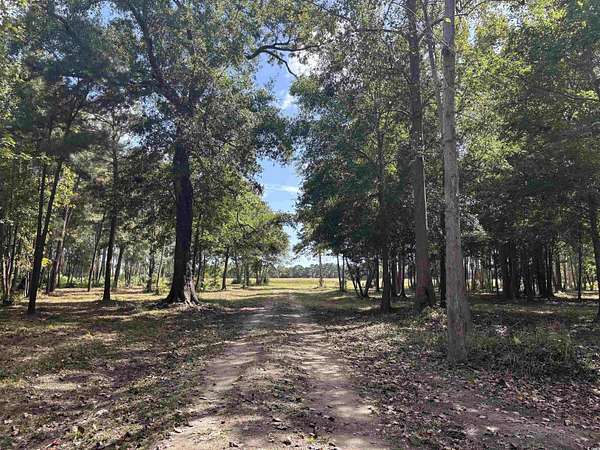 55 Acres of Recreational Land for Sale in North Myrtle Beach, South Carolina