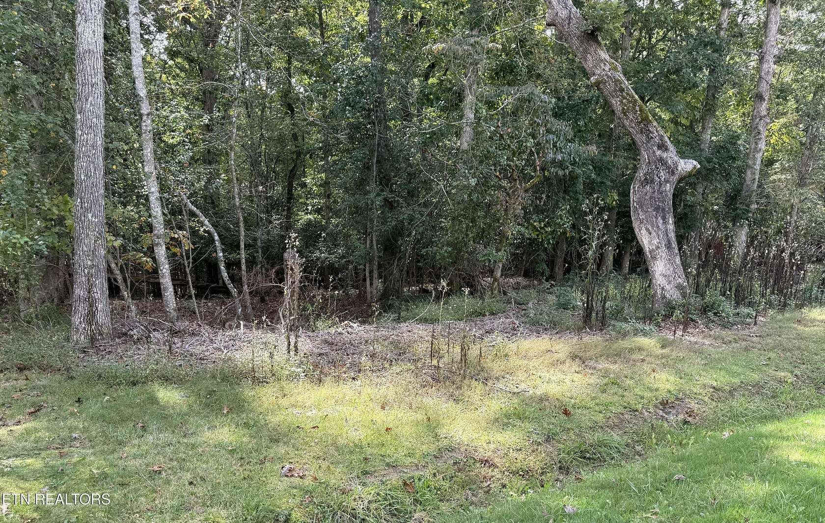 0.26 Acres of Land for Sale in Crossville, Tennessee