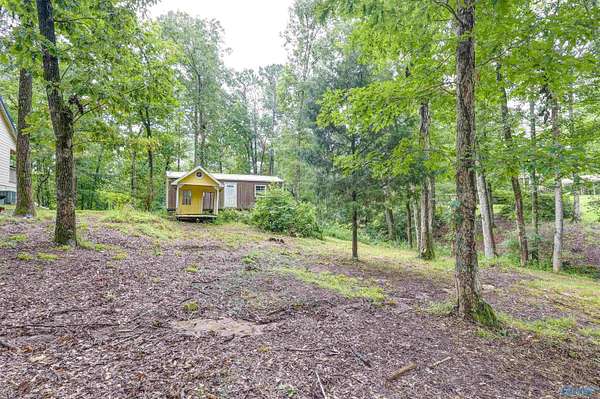 0.5 Acres of Land for Sale in Arley, Alabama