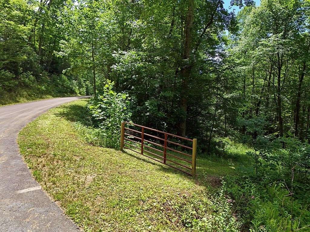Residential Land for Sale in Hiawassee, Georgia