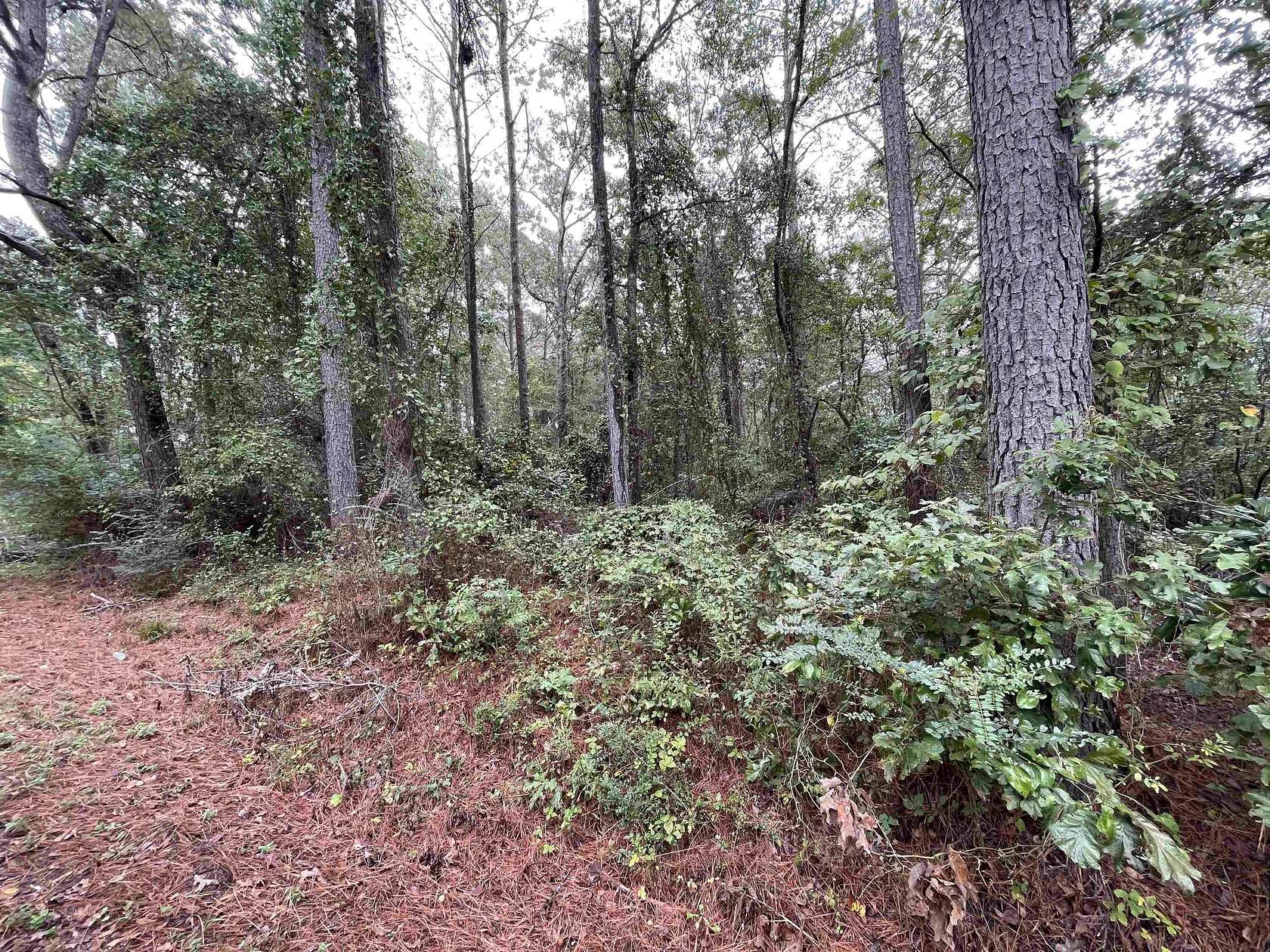 2.5 Acres of Residential Land for Sale in Vernon, Alabama