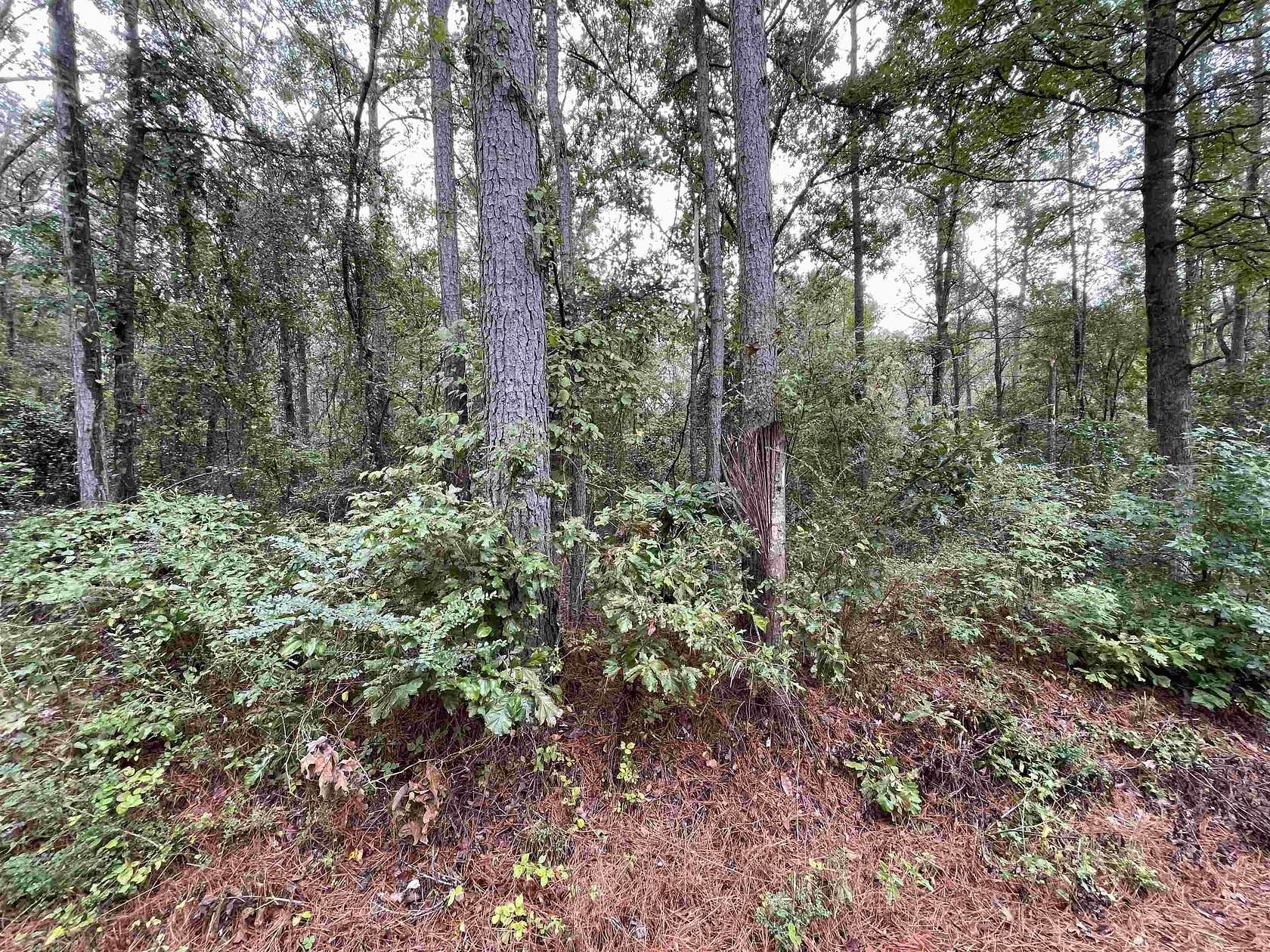1.5 Acres of Residential Land for Sale in Vernon, Alabama