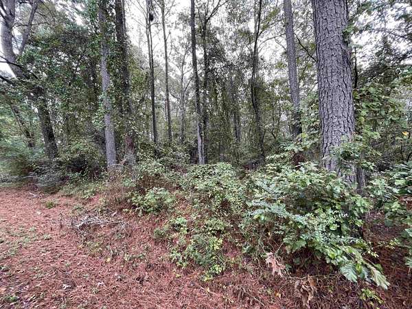 2.5 Acres of Residential Land for Sale in Vernon, Alabama