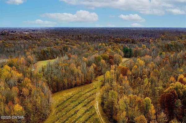38.8 Acres of Land for Sale in Hornbeak, Tennessee