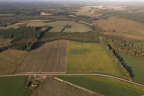 66.5 Acres of Recreational Land for Sale in Hemingway, South Carolina