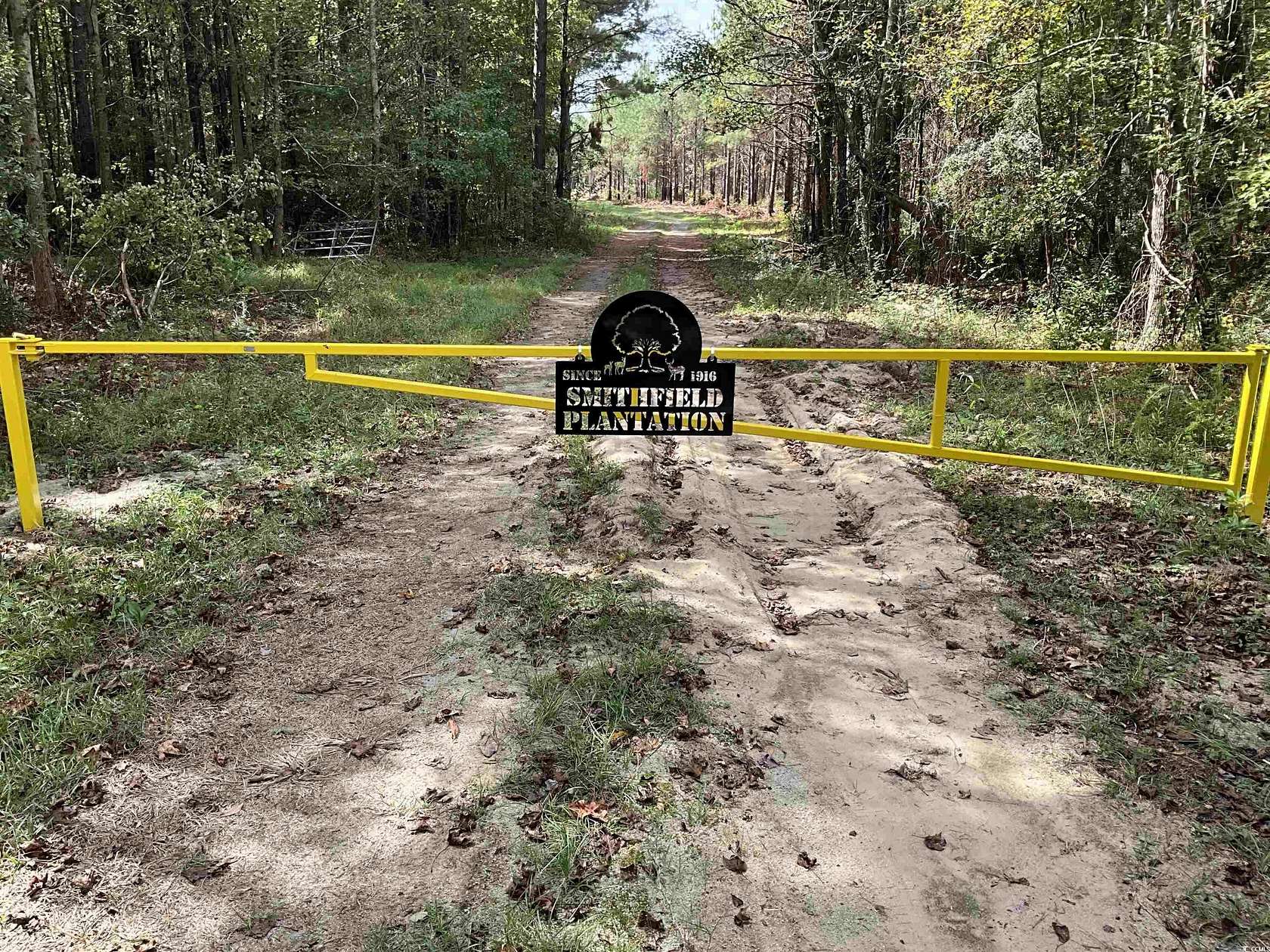 84 Acres of Recreational Land & Farm for Sale in Marion, South Carolina