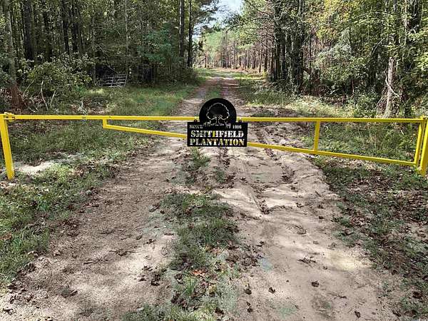 84 Acres of Recreational Land & Farm for Sale in Marion, South Carolina