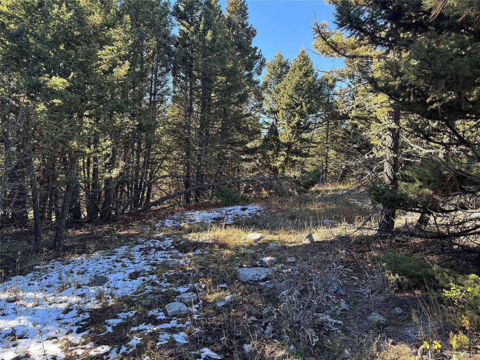14.7 Acres of Land for Sale in Raynesford, Montana