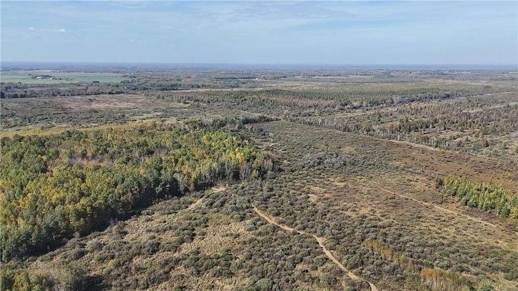 80 Acres of Recreational Land for Sale in Palisade, Minnesota