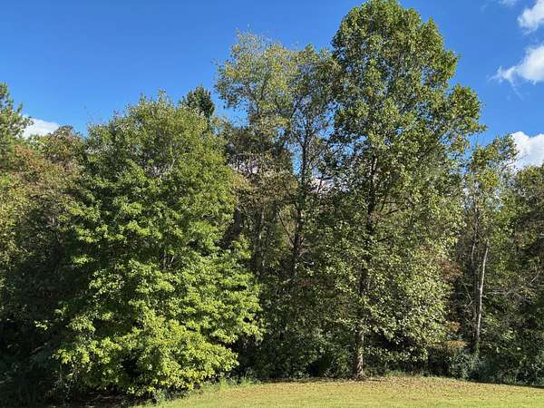 0.39 Acres of Residential Land for Sale in Talbott, Tennessee