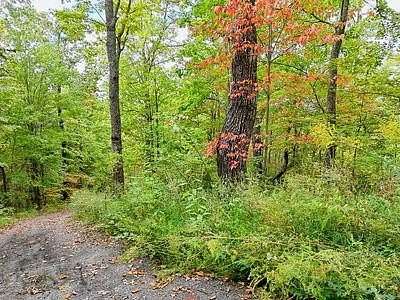 1 Acre of Residential Land for Sale in Hayesville, North Carolina