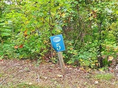 1 Acre of Residential Land for Sale in Hayesville, North Carolina