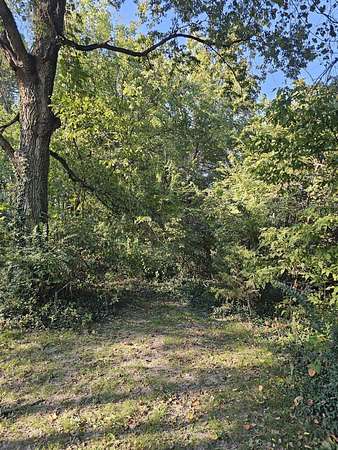 1.76 Acres of Land for Sale in Goodman, Missouri