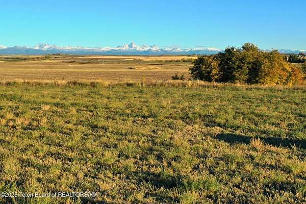 84.1 Acres of Agricultural Land for Sale in Ashton, Idaho
