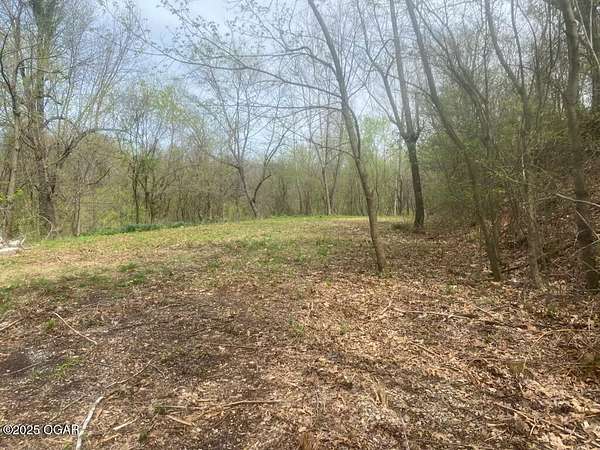 1 Acre of Land for Sale in Southwest City, Missouri