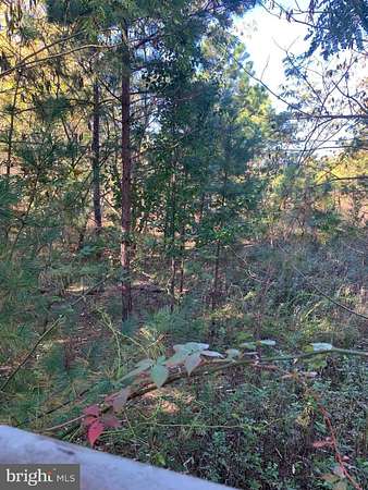 0.11 Acres of Land for Sale in Egg Harbor Township, New Jersey