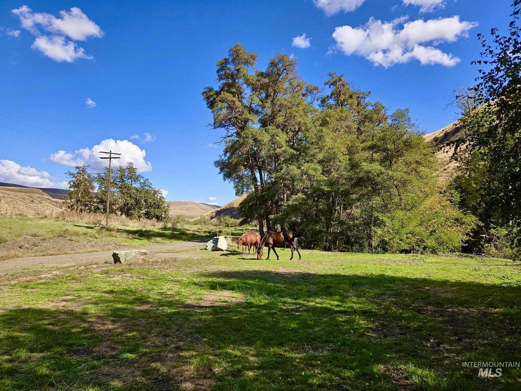 28.7 Acres of Recreational Land for Sale in Asotin, Washington