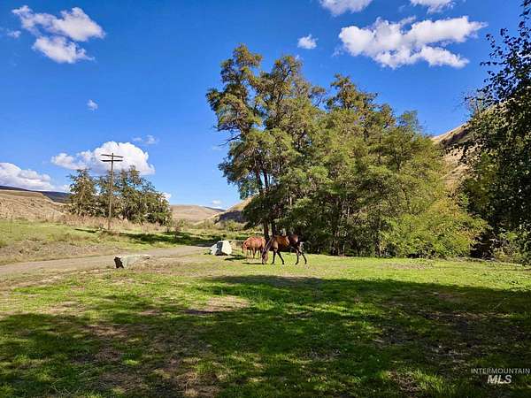 28.7 Acres of Recreational Land for Sale in Asotin, Washington