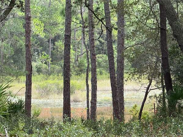 0.37 Acres of Residential Land for Sale in Fort McCoy, Florida