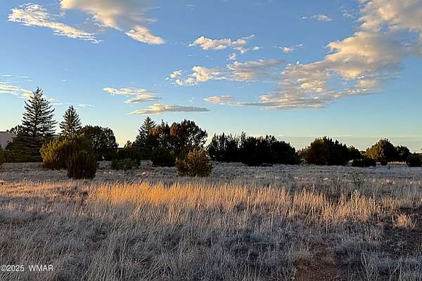 0.62 Acres of Residential Land for Sale in Show Low, Arizona