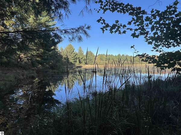 10 Acres of Land for Sale in Reed City, Michigan