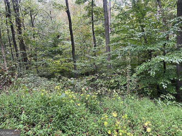 0.7 Acres of Residential Land for Sale in Cumming, Georgia