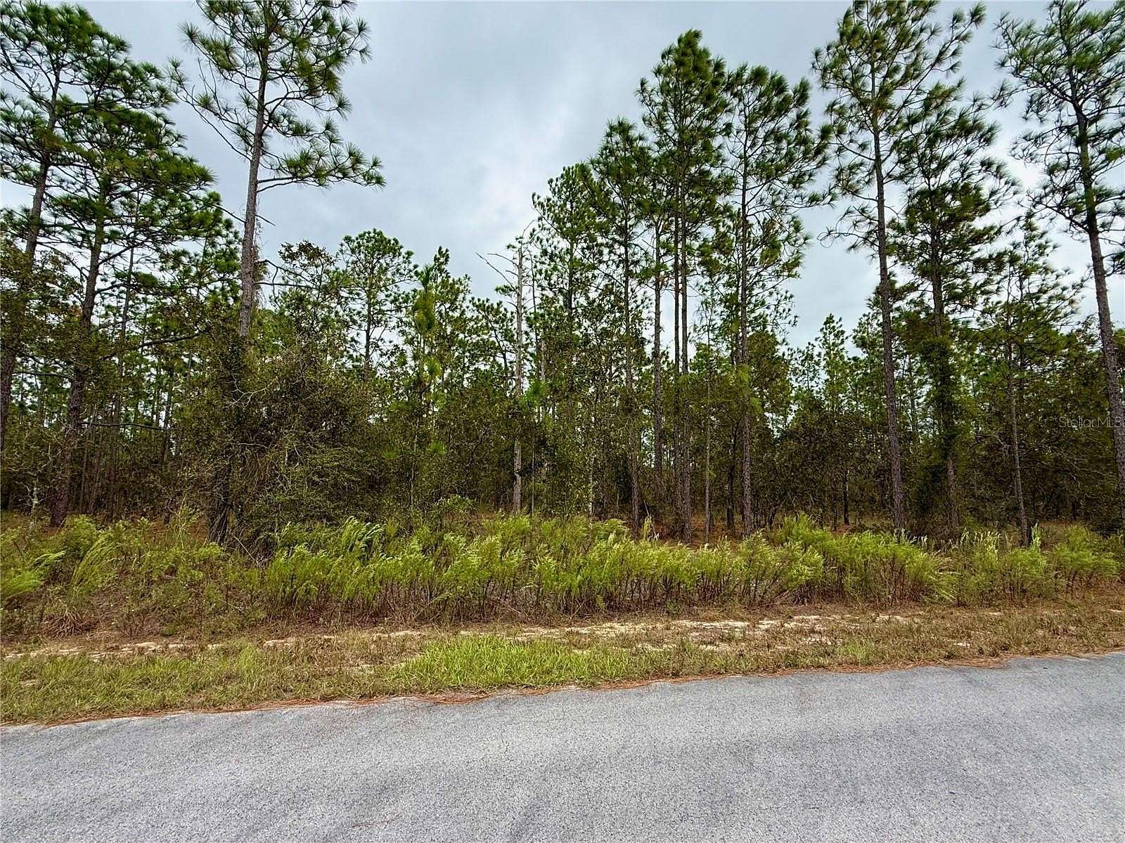 0.25 Acres of Residential Land for Sale in Dunnellon, Florida