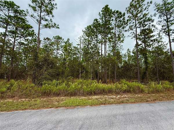 0.25 Acres of Residential Land for Sale in Dunnellon, Florida