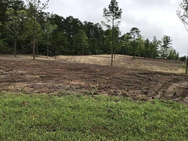 2 Acres of Residential Land for Sale in Burkeville, Texas