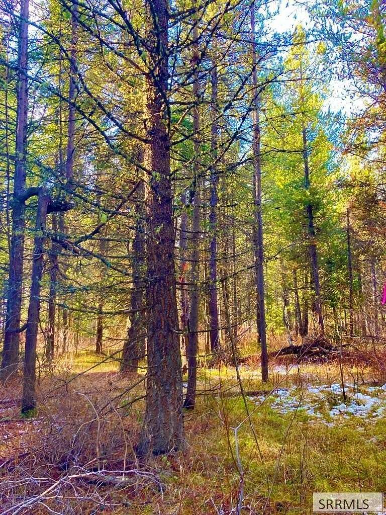 2 Acres of Residential Land for Sale in Ashton, Idaho