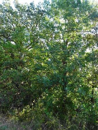 0.28 Acres of Residential Land for Sale in Gun Barrel City, Texas