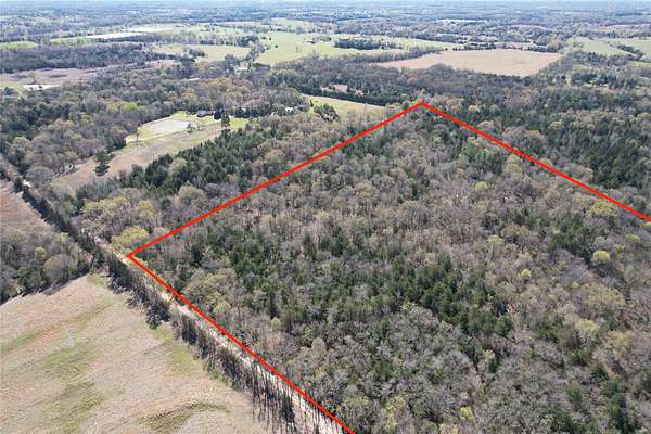 21 Acres of Recreational & Residential Land for Sale in Como, Texas