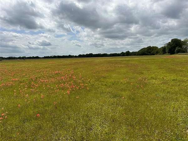 104 Acres of Land for Sale in Scurry, Texas