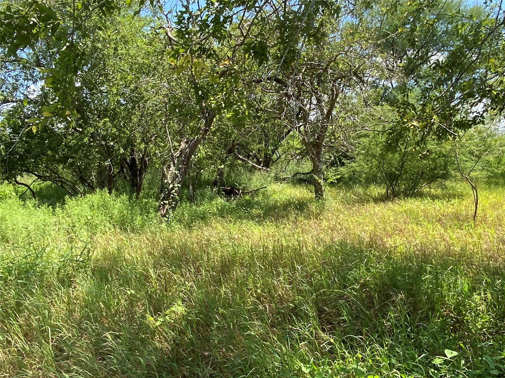 21 Acres of Land for Sale in Sinton, Texas