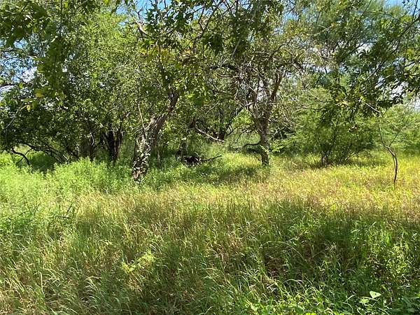 21 Acres of Land for Sale in Sinton, Texas