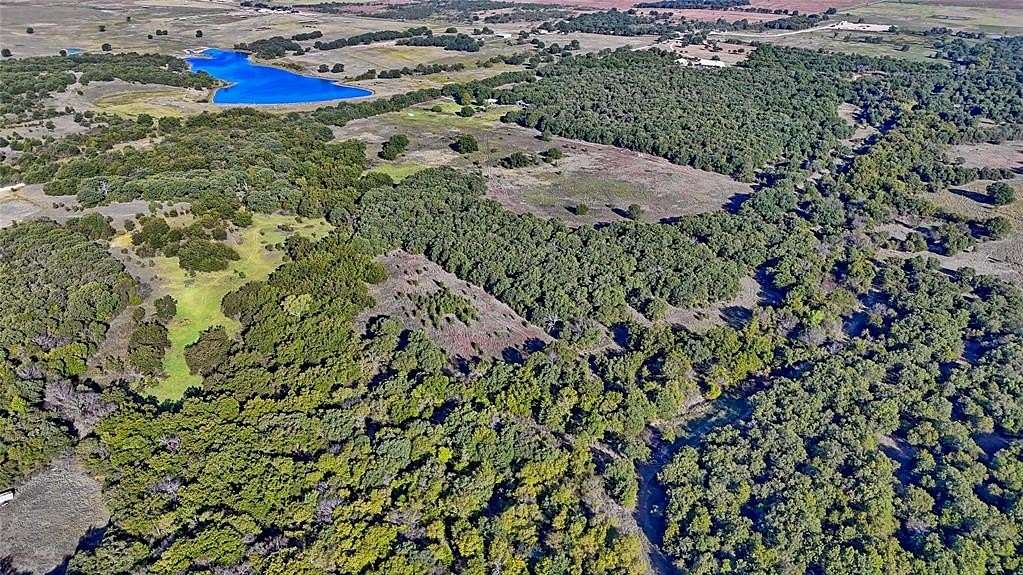 41 Acres of Agricultural Land for Sale in Bellevue, Texas