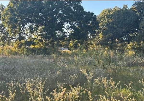 7.5 Acres of Residential Land for Sale in Gun Barrel City, Texas
