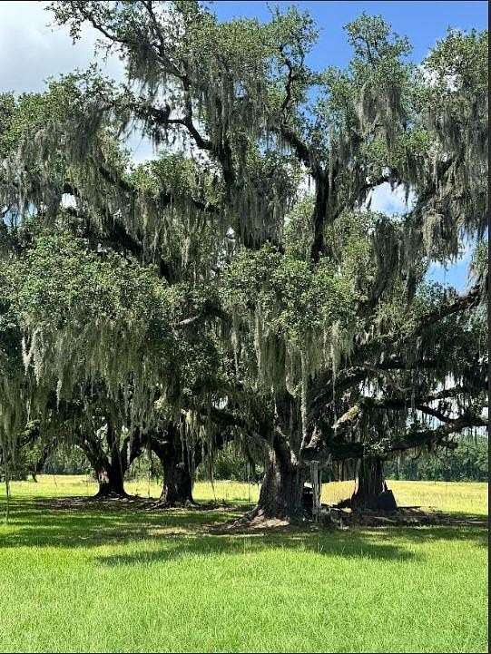 68.9 Acres of Agricultural Land for Sale in Orange, Texas