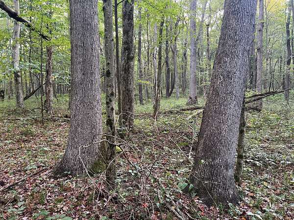 177 Acres of Recreational Land for Sale in Ohiopyle, Pennsylvania