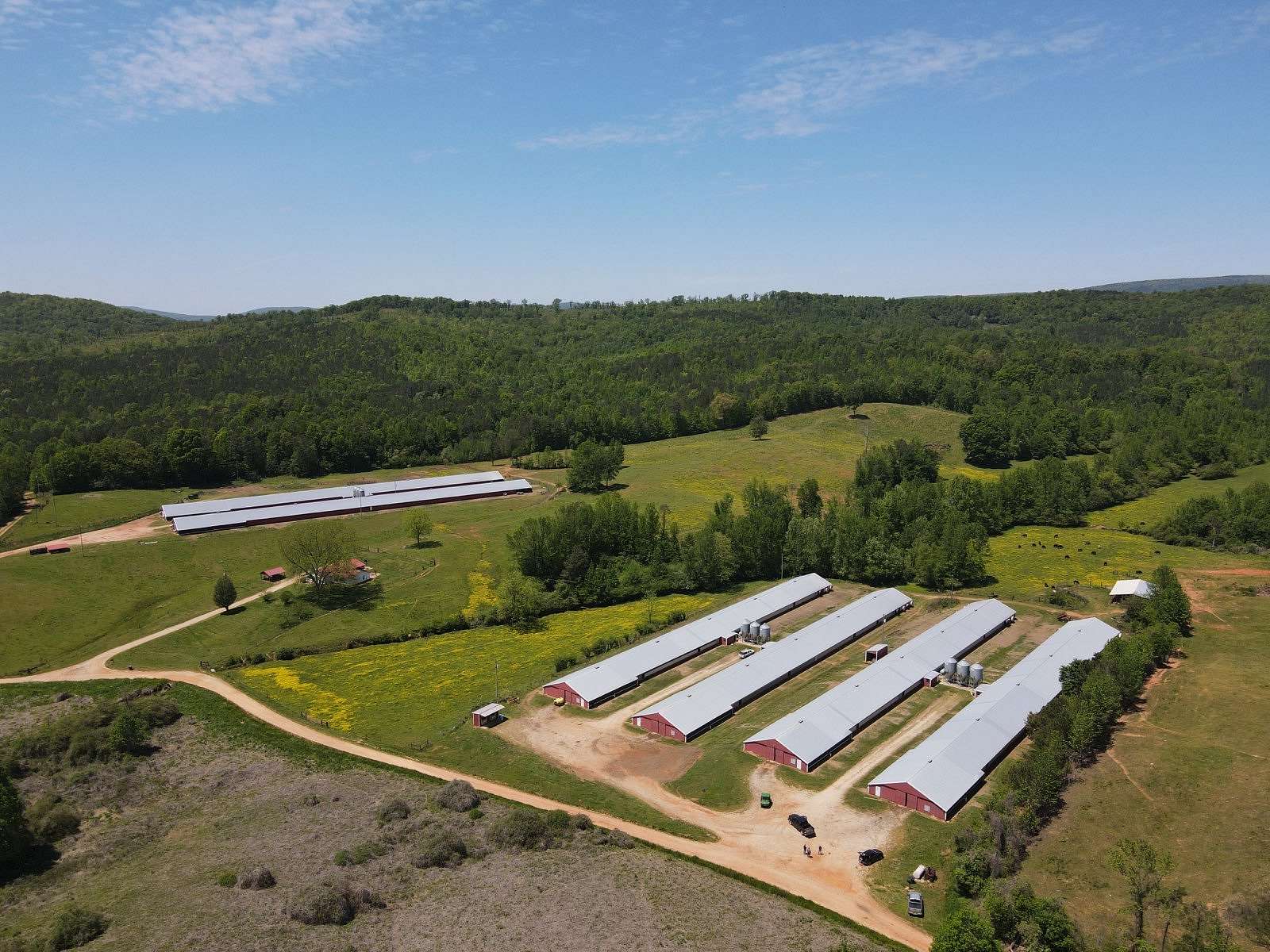 91 Acres of Agricultural Land for Sale in Lineville, Alabama