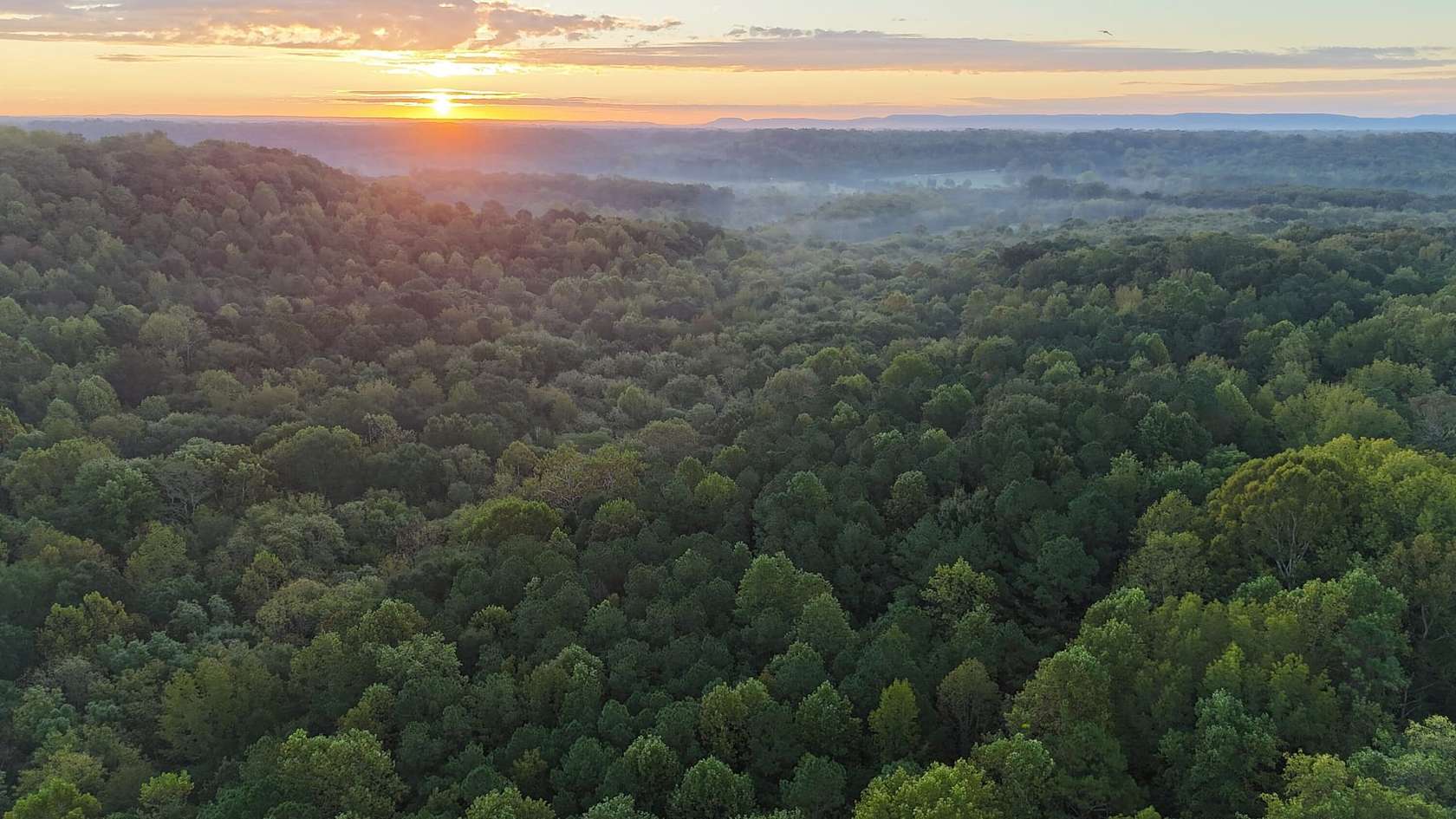 86 Acres of Recreational Land & Farm for Sale in Hartselle, Alabama