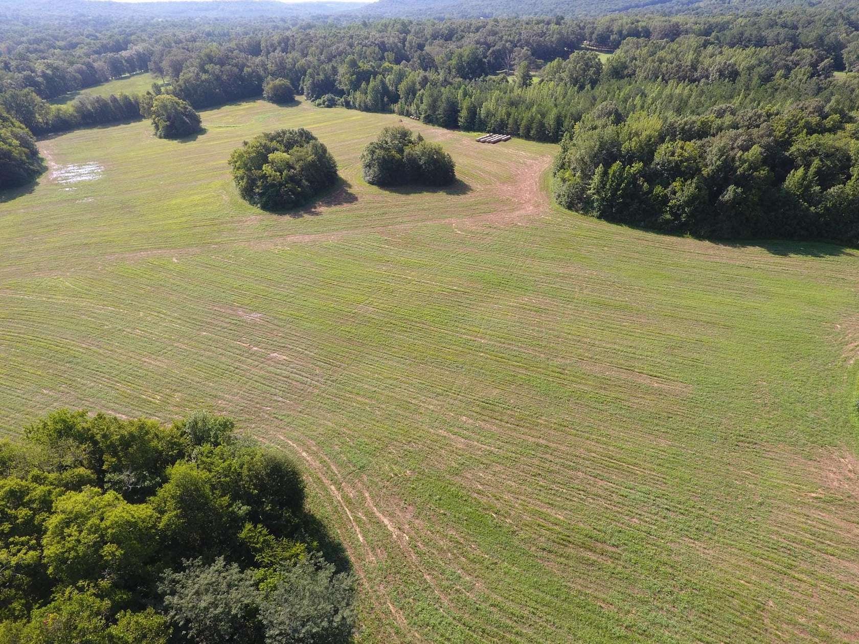 115 Acres of Recreational Land & Farm for Sale in Tuscumbia, Alabama