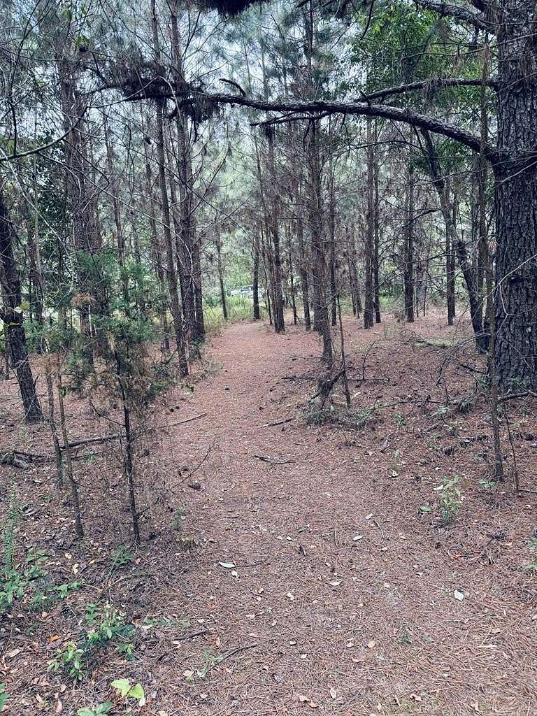 65 Acres of Land for Sale in Americus, Georgia