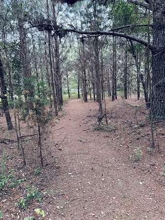 65 Acres of Land for Sale in Americus, Georgia