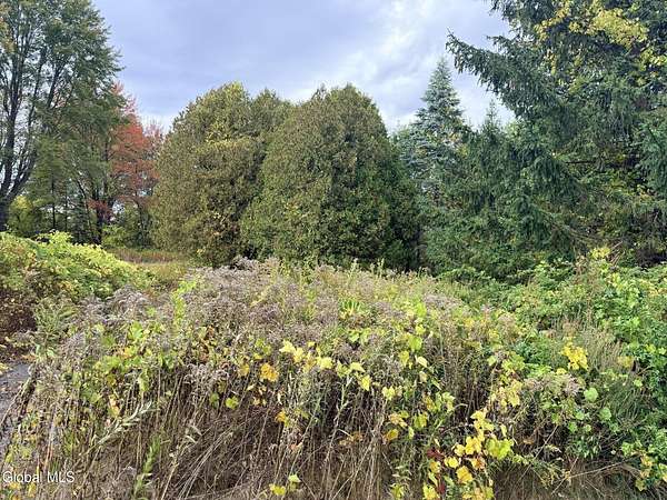 3.88 Acres of Residential Land for Sale in Halfmoon, New York